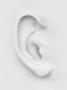 Ear